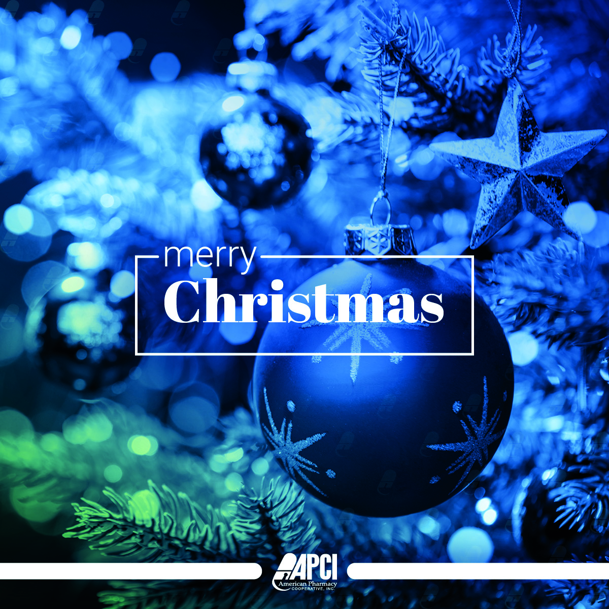 Merry Christmas from APCI